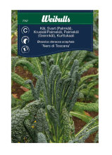 Kruskål/palmekål 'Nero di Toscana'